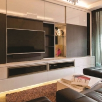 Living area_TV feature